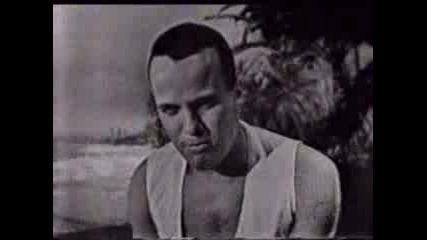 Jamaica Farewell Harry Belafonte.