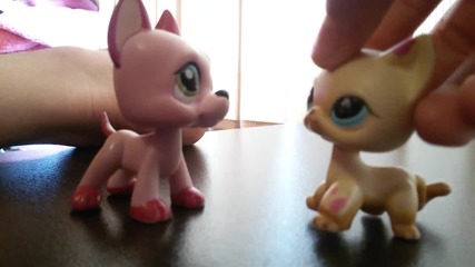 Lps:New story #1