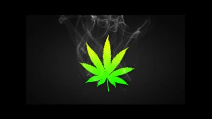 Dubstep-smoke weed everyday(extended)