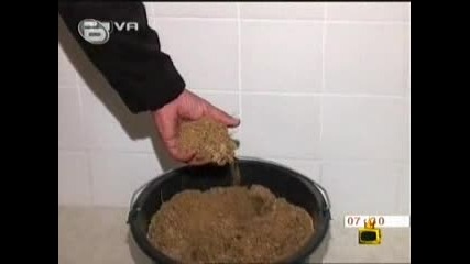 Господари на ефира - 03.11.2009 /вторник/ [измамни дистрибутори - 2 част]