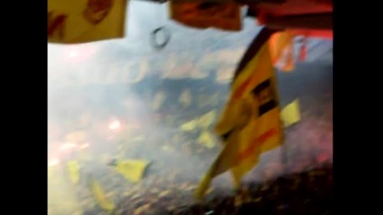 2010 final pao - aris