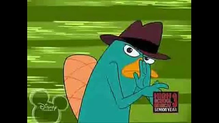 Perry The Platypus Theme Song