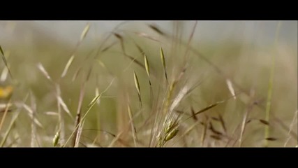 Carlos Jean feat Lucia Scansetti - Fight for Life