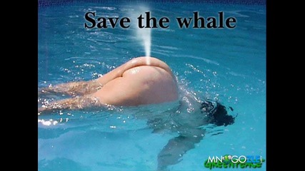 Спасете китовете - смях 
