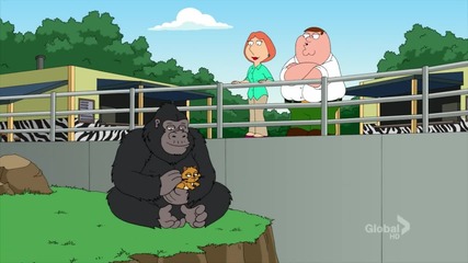 Family guy