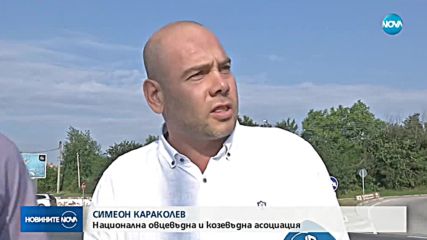 Новините на NOVA (13.07.2018 - обедна емисия)