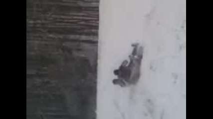 Драгиново Емоции 