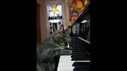 Iskra - Korg Kuchek 2010 Originalno Ot Dj Pesho Za Vsichki Pochitateli Na Dobrata Muzika Po Sveta :) 
