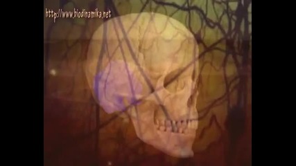 Сакрални ритми