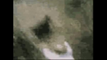 Chacarron Macarron funny video