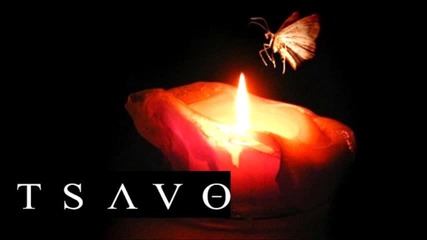 Tsavo - Beyond a Moth to Light