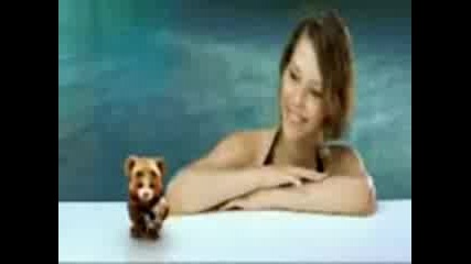 Eddy Bear.kostandovo