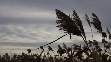 George Michael - Where I Hope You Are