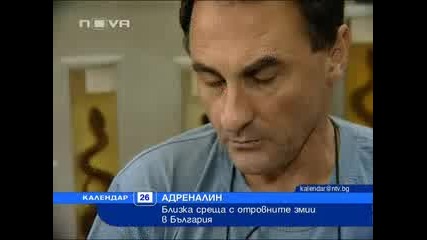 Най-опасните змии у нас