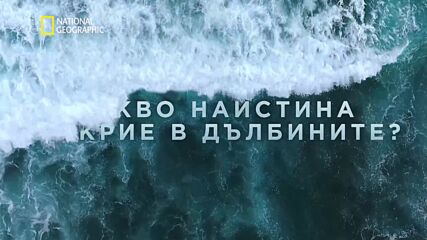 Пресушаване на океана | National Geographic Bulgaria