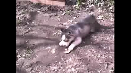 sara na 2 meseca
