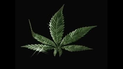 Biogenesis - Harmonic Science 