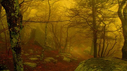 Drudkh - Farewell to Autumn's Sorrowful Birds 2012