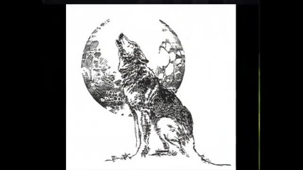 Mas que Palabras - Lobos
