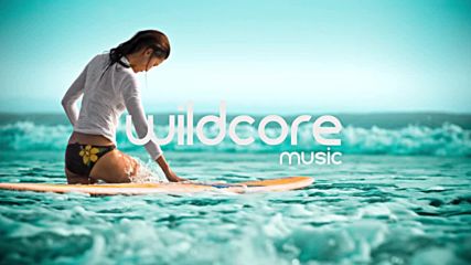 Wildcore music: Major Lazer ft. Mø x Juicy Cola -- Lean on [deer Rework]