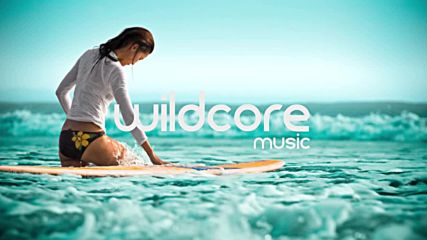 Wildcore music: Major Lazer ft. Mø x Juicy Cola -- Lean on [deer Rework]