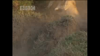 Discovery Channel