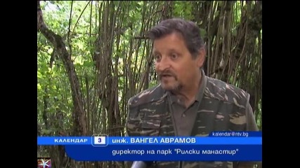 Фотокапан за нарушители в парк Рилски манастир
