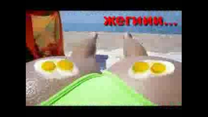 Смешни Снимки И Добра Музика