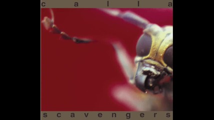 Calla - Fear of Fireflies