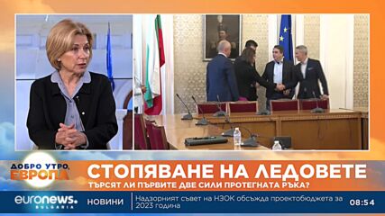 Социолог: Има шанс за експертен кабинет с мандата на ПП-ДБ