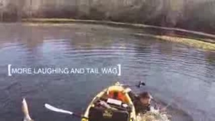 Гъсок напада рибар и го бута от лодката 