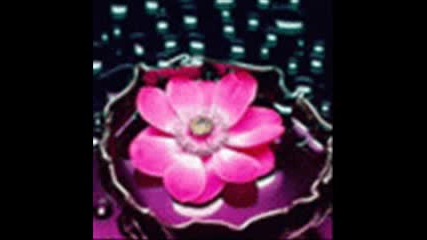 Beautiful Flowers - Nana - Let It Rain
