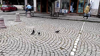 VID_20150714_110559