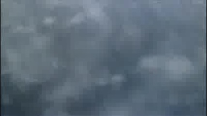 The Great White Shark Song 