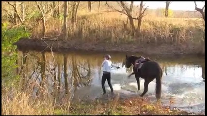 Този кон направо я окъпа.