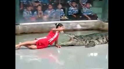 Момиче Си Слага Главата В Устата На Крокодил 