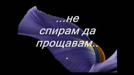 Прошка