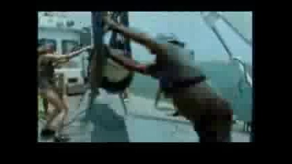 Great Mako Shark Attack, Eat And Swallow Man