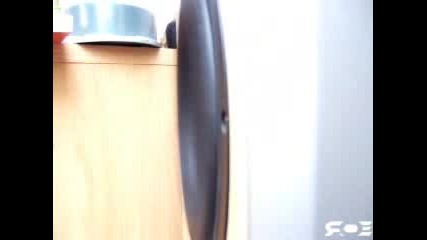 Visaton Bass