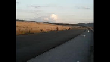 Мотористи От Перник