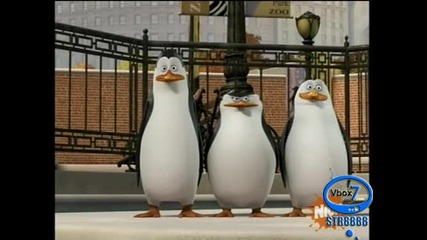 The Penguins Of Madagascar - Сезон 1 Епизод 10 - Tangled In The Web - High Quality