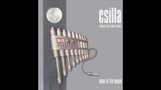 Csilla - Man In The Moon ( Robert Miles Remix ) [high quality]