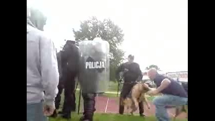 Полицейско куче мрази хулигани