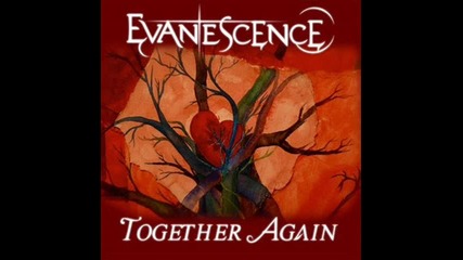 Evanescence - Together Again