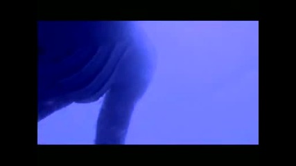Antiloop - Believe ( Official Video )