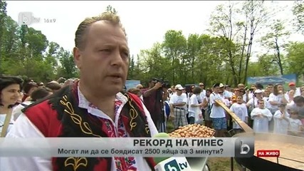 Рекорд на Гинес за Великден / Стотици боядисваха яйца за рекорд в Южния парк