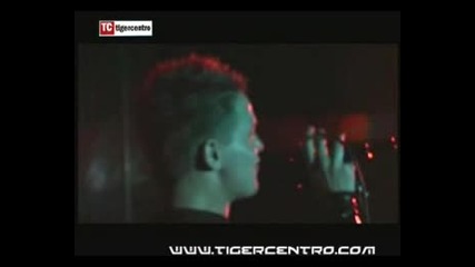Elegant Machinery - Save Me