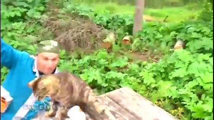 Котка устройва засада по време на риболов!