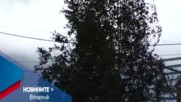 В Новините на NOVA от 12.00 ч. на 8 ноември очаквайте