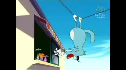Oggy - House For Rent